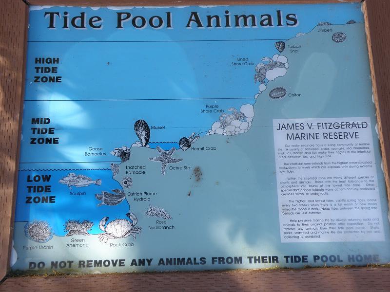 P6182015 Fitzgerald Reserve.JPG